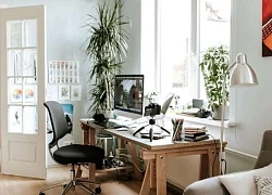 Bài trí bàn học chú trọng được những yếu tố sau sẽ giúp trẻ tập trung, học tập tốt, thi cử đỗ đạt