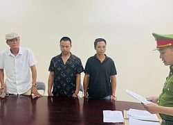 Bắt tạm giam cán bộ hải quan ở Lào Cai vì phá rừng