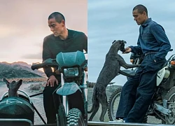 'Black Dog' - Siêu phẩm của Bành Vu Yến tranh tài tại Liên hoan phim Châu Á Đà Nẵng 2025