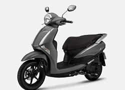 Bảng giá xe Latte mới nhất tháng 6/2025