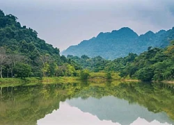 Cúc Phương lần thứ 6 được vinh danh là Vườn Quốc gia hàng đầu châu Á