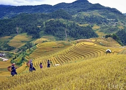 Đắm say cảnh sắc vùng cao phía Bắc