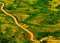 Đánh thức đại ngàn Y Tý