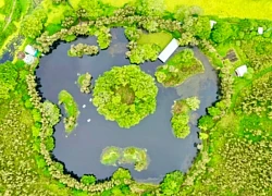 Đến Kiên Giang thăm đất rừng phương Nam
