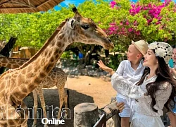 Đến xứ Trầm tận hưởng hè sôi động