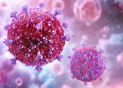 Đột phá khoa học mở đường loại bỏ virus HIV khỏi cơ thể