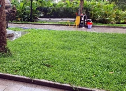 Em trai bất lực nhìn anh nhảy từ tầng 39 chung cư cao cấp ở Hà Nội