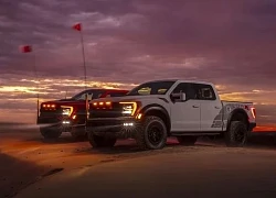 Ford triệu hồi 5 lần trong tuần, có lỗi chưa tìm được cách sửa