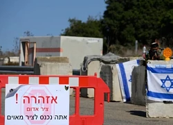 Hai con khỉ ở Liban vượt biên, 'gõ cửa' nhà dân Israel