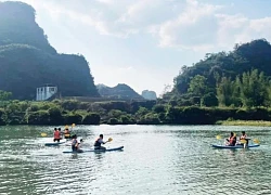 Hành trình 'chữa lành' giữa đại ngàn xanh
