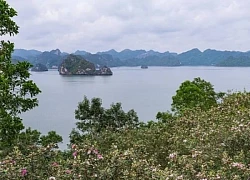 Hấp dẫn đảo Soi Sim