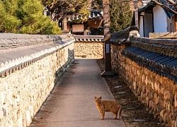 Hiệp hội Du lịch Nha Trang - Khánh Hòa xúc tiến du lịch tại Daegu và Busan (Hàn Quốc)