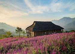 Khám phá điểm đến 'mặc áo ấm giữa mùa hè' Fansipan