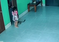 "Khối nghỉ hè" la hét thất thanh khi bất ngờ giẫm trúng vị khách lạ, phản ứng của đối phương khiến nhiều người nín thở