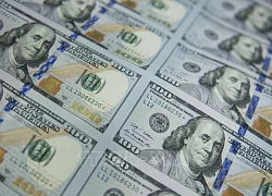 Mỹ không phát hiện các đối tác thương mại lớn thao túng tiền tệ trong năm 2024