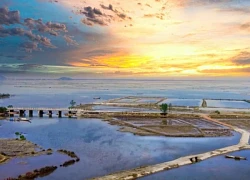 Phá Tam Giang mùa nào cũng đẹp
