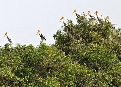 Ramsar Láng Sen - Khu bảo tồn sinh thái thế giới