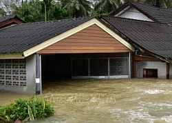 Số nạn nhân thiệt mạng trong thảm họa lũ quét tại Nigeria vượt 200 người