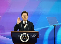 Sức ép của 'vòng nguyệt quế'
