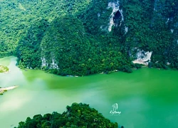 Thảo nguyên Đồng Lâm 'thay áo mới' mùa nước nổi, đẹp như cổ tích