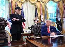 Toàn cảnh cuộc khẩu chiến dữ dội giữa Tổng thống Trump và tỉ phú Elon Musk