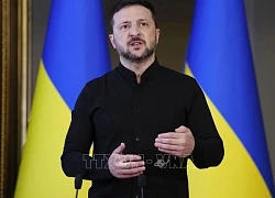 Tổng thống Ukraine đề xuất ngừng bắ.n để sắp xếp cuộc gặp người đồng cấp Nga