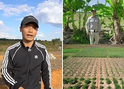 Trang trại Quang Linh gặp biến, không dám đưa ra con số lãi, liệu có giải tán?