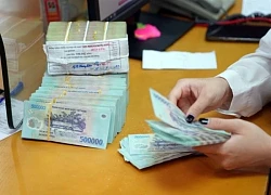 Nguyên Chủ tịch Hội phụ nữ xã lừa đảo chiếm đoạt hơn 15 tỉ đồng