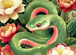 Tử vi ngày 6/6: 3 con giáp mở mắt thấy tiền, mỉm cười có tình yêu