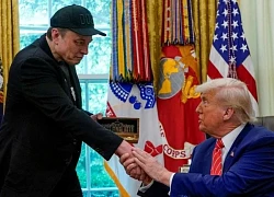 Tỷ phú Musk chìa "cành ô liu" muốn đình chiến với Tổng thống Trump