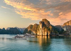 Vịnh Bái Tử Long Vẻ đẹp nguyên bản đánh thức cảm xúc