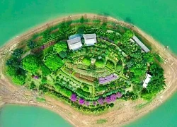 Vợ chồng biến đảo hoang ở Thái Nguyên thành khu vườn chữa lành thu hút du khách