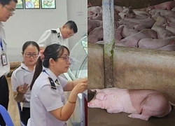 Vụ C.P VN nghi bán heo bệnh: Kiểm tra 9 cửa hàng ở Bình Dương, kết quả sốc