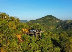 2 ngày 1 đêm săn mây ở điểm đến rất lạ của Bảo Lộc