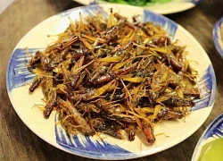 Con này xưa vứt cho gà ăn giờ là đặc sản, có giá vài trăm nghìn 1kg, đem rang được món nhậu giòn ngon thơm nức