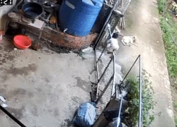Búp măng non vượt ngàn chông gai để trốn nhà đi chơi, xem lại camera, mẹ bé muốn cạn lời khi thấy con ôm "bạn tri kỷ" ngủ giữa đường!