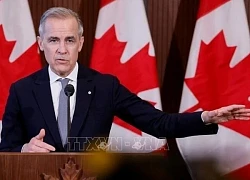 Canada - Trung Quốc nối lại đối thoại về thương mại