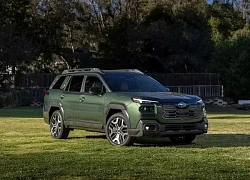 Cập nhật bảng giá xe hãng Subaru mới nhất tháng 6/2025