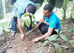 Công an điều tra 2 đề tài khoa học tiêu tốn tiền tỷ nhưng thất bại