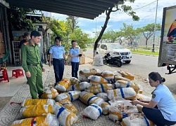 Đà Nẵng: Tạm giữ 700 kg mực khô bốc mùi, vô chủ tại âu thuyền Thọ Quang