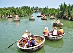 Đặc sắc rừng dừa nước Cẩm Thanh