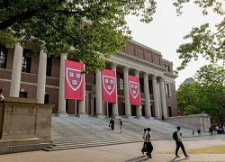 Đại học Harvard kiện Chính phủ Mỹ vì ngăn sinh viên quốc tế nhập cảnh