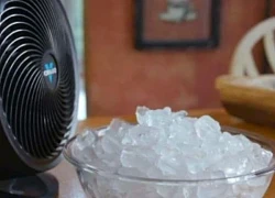 Đặt chậu nước, chậu đá trước quạt có làm mát nhà hơn không? Câu trả lời của chuyên gia gây bất ngờ