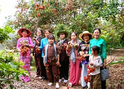 Đến Cần Thơ dịp hè, tha hồ thưởng thức trái ngon