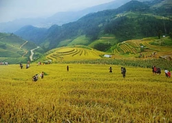 Du lịch theo ảnh với cái đẹp thiên nhiên miền Tây Bắc