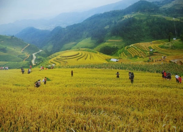 Du lịch theo ảnh với cái đẹp thiên nhiên miền Tây Bắc