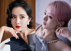 Dương Mịch Lưu Thi Thi Triệu Lệ Dĩnh: Ai mới thực sự đang tụt dốc trong cuộc đua hậu lưu lượng?