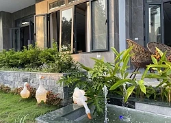 Gia đình Hà Nội chi tiền tỷ, dựng chốn nghỉ dưỡng ở quê để các con 'có tuổi thơ'