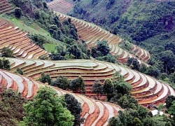 Hữu tình cảnh sắc ruộng bậc thang mùa nước đổ ở vùng cao Bắc Yên