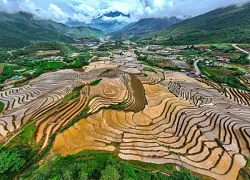 Ngắm ruộng bậc thang Y Tý mùa đổ ải
